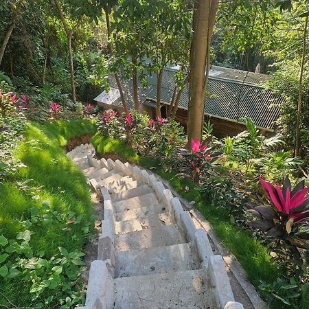 Willa La Casa Del Mono Minca Zewnętrze zdjęcie
